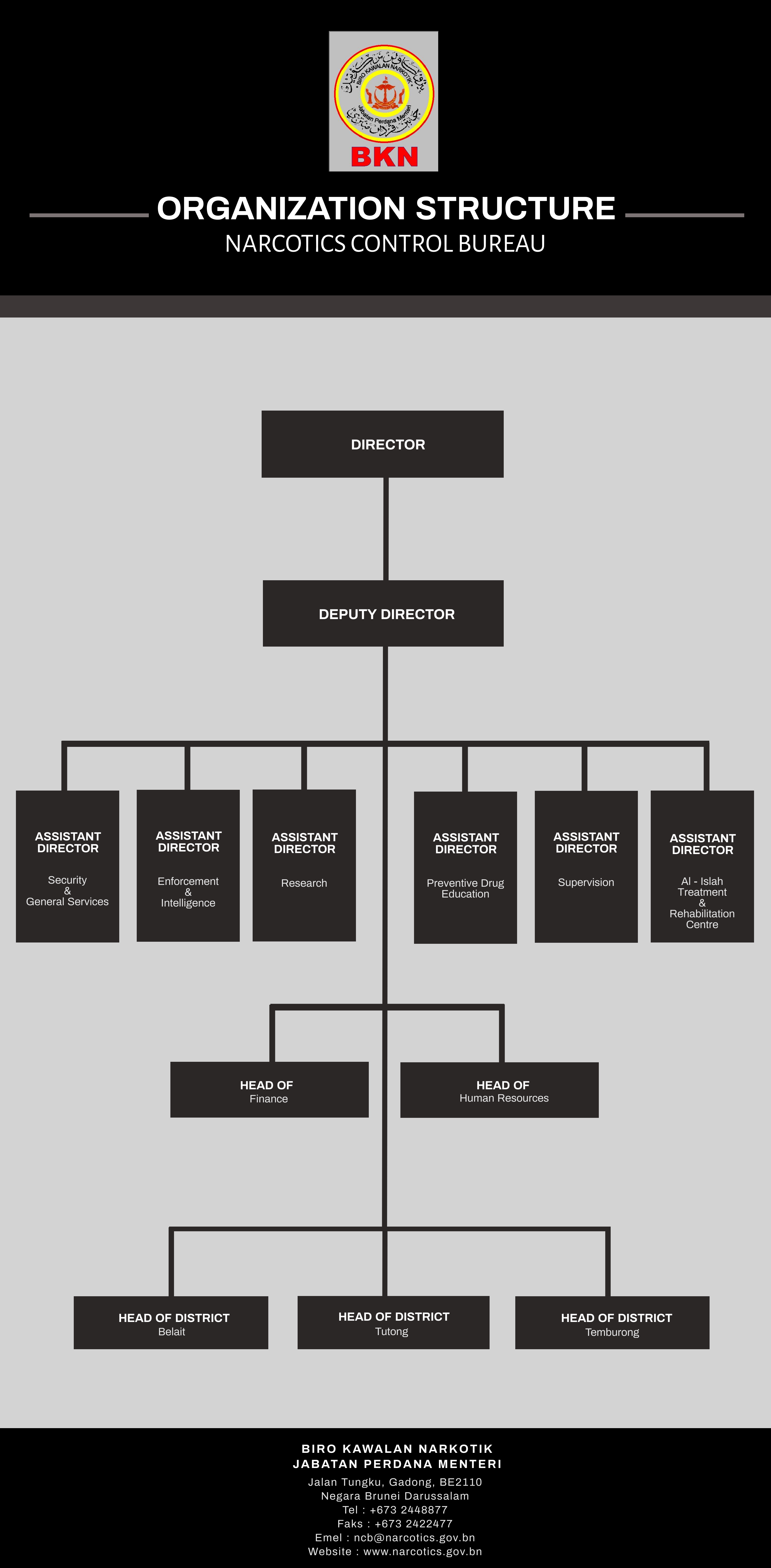 latest organisation.jpg